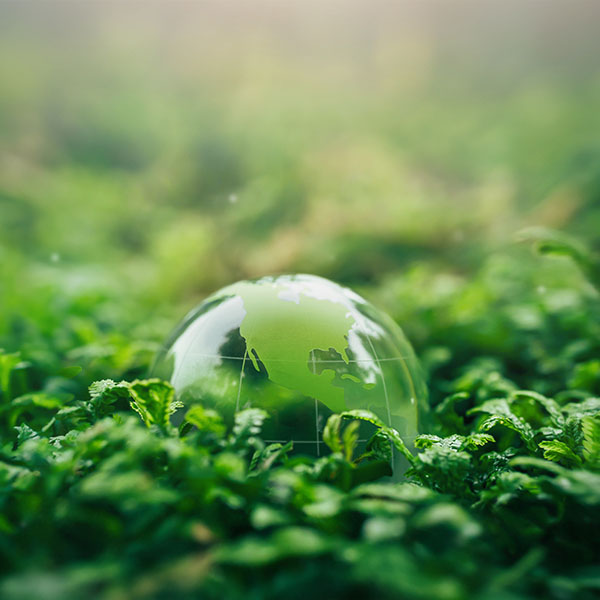 CAMIRO: Carbon & Clean Fuels Analytics, Market Intelligence & Regulatory Outlooks