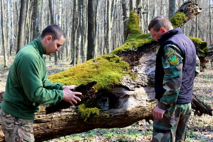 Drevklianskyi Nature Reserve