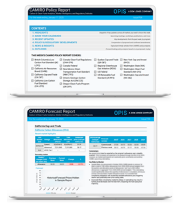 CAMIRO policy report and forecast report screenshots